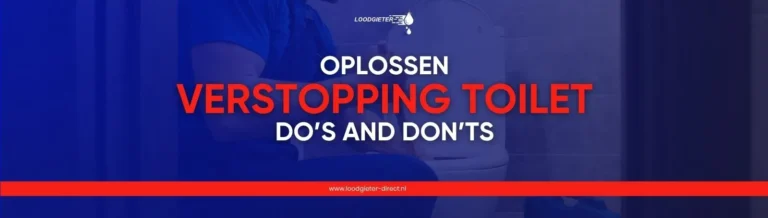 toiletverstopping