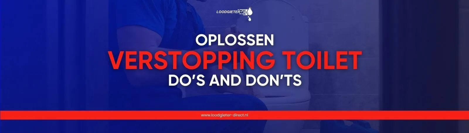 toiletverstopping